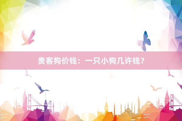 贵客狗价钱：一只小狗几许钱？