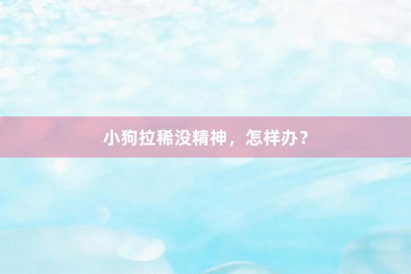 小狗拉稀没精神，怎样办？