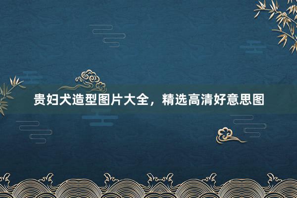 贵妇犬造型图片大全，精选高清好意思图